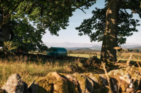Cardross Estate Glamping Pods